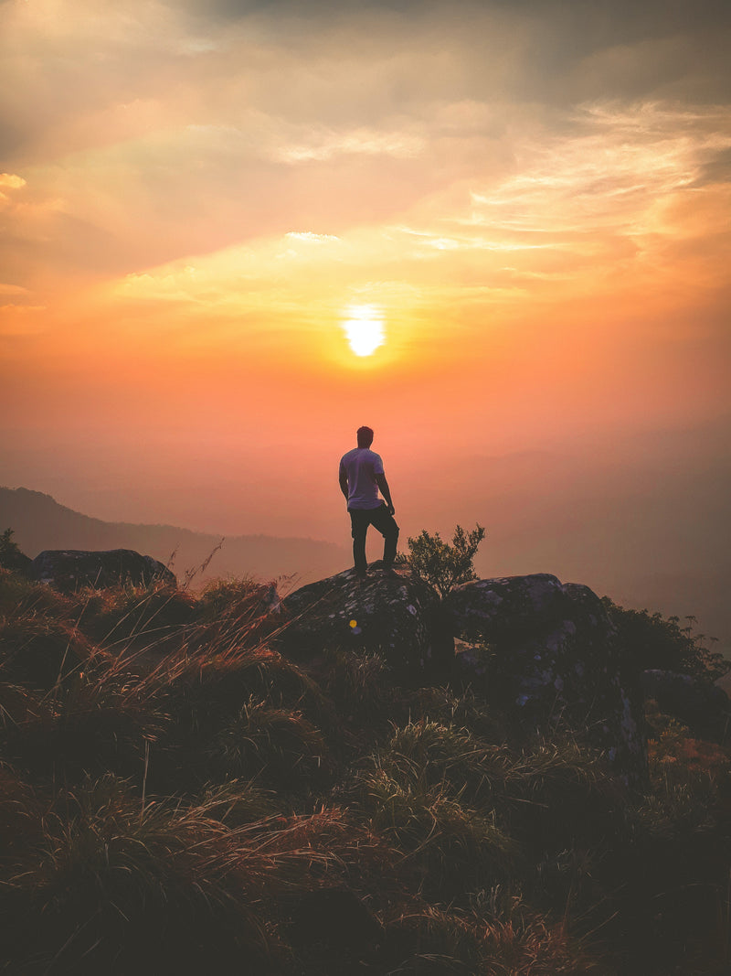 What Are Senescent Cells and Why Are They Being Targeted for Healthier Aging?